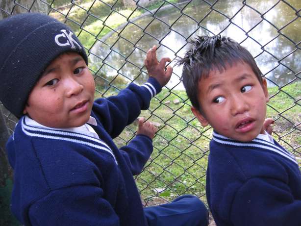 Look at the Alligators!